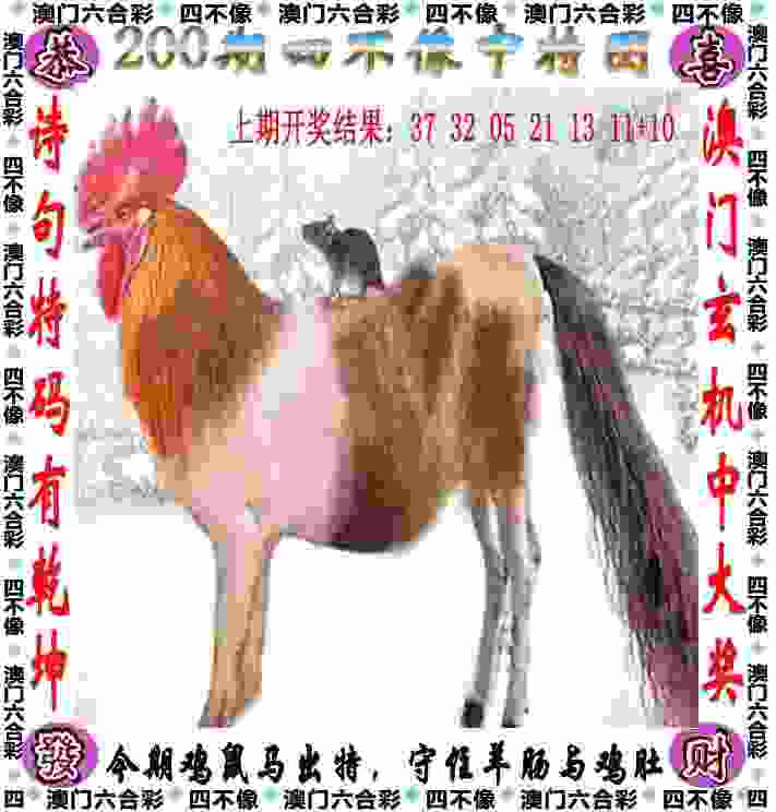 >新门内部资料免费提供